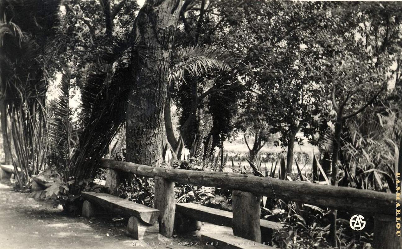 Ain Temouchent 505- Jardins COLLECTION DES AMIS DE ND DE SANTA CRUZ.jpg